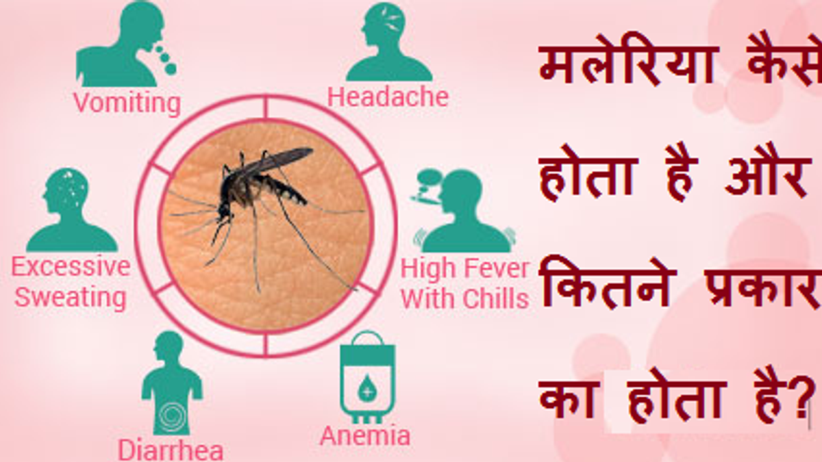 Malaria Disease, Types and Symptoms